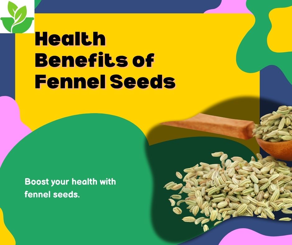 Health Benefits of Fennel Seeds